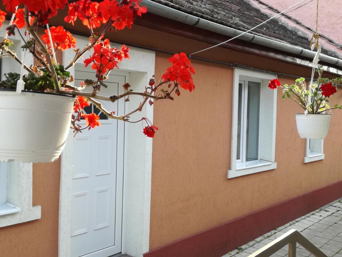 Casa Anastasiei Braşov Buitenkant foto